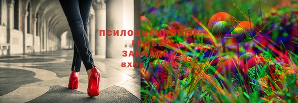 мяу мяу мука Беломорск